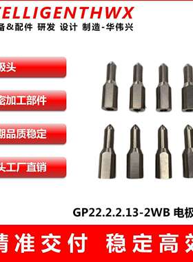 厂家直销 GP22.2.2.13-2WB 电极头