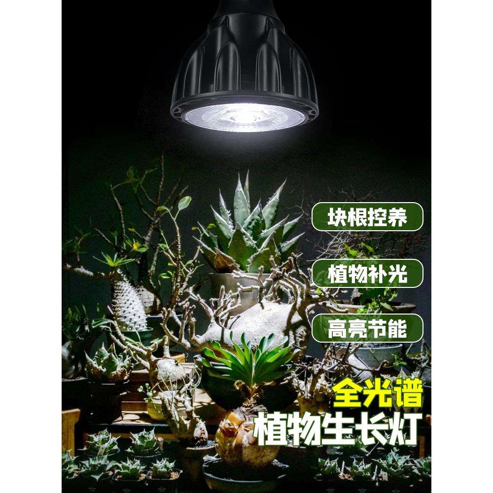 植物补光灯仿太阳全光谱室内绿植led射灯块根龙舌兰生长灯