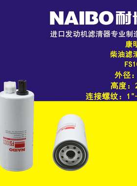 FS1003柴滤 FS19596 P551103