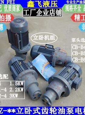 LWBZ-40 LWBZ-50 LWBZ-63立卧式齿轮油泵电机组YE2 1001-4 2.2KW