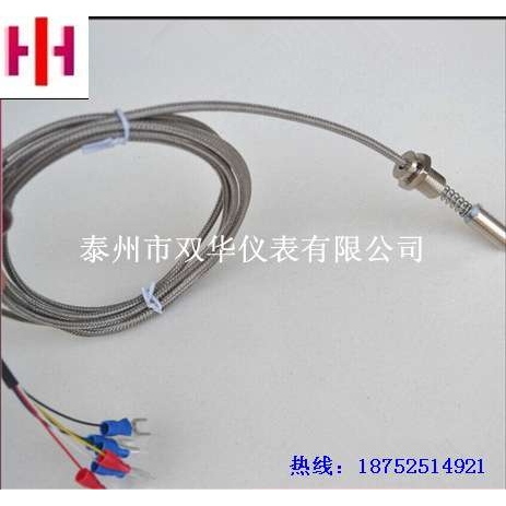 WZPM2-001 双支端面铂铑热电阻