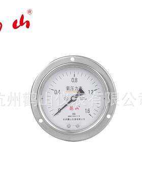 YA100BFZT氨用 不锈钢轴向带边压力表 轴向带边压力表 厂家直销