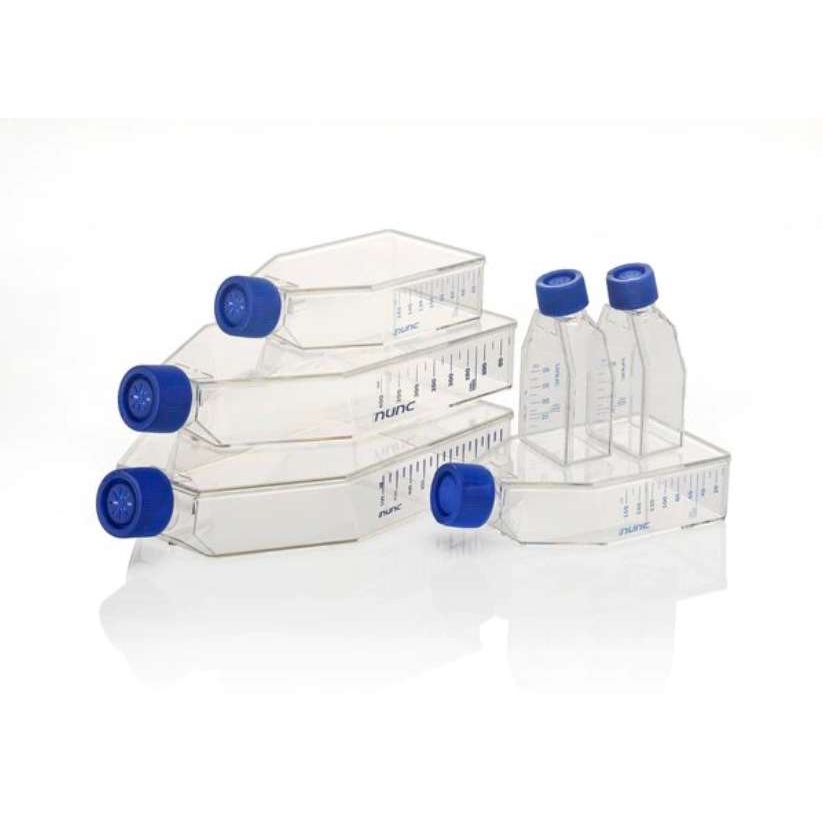NUNC能肯159910 175cm2易用培养瓶 聚苯乙烯PS过滤透气盖 无菌