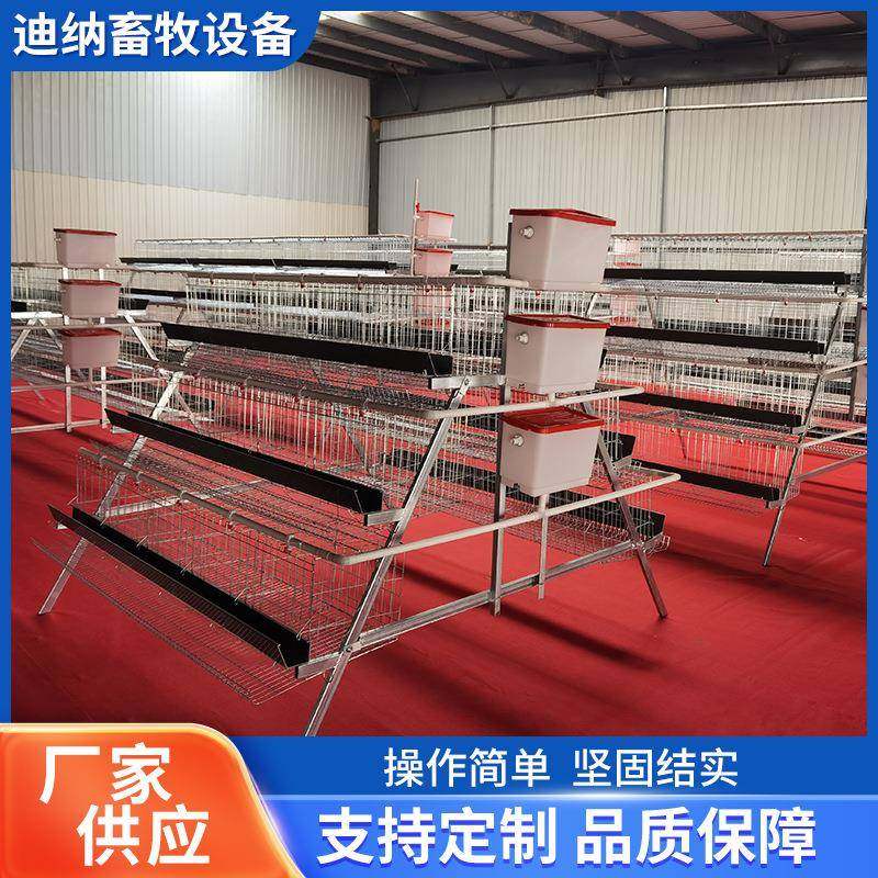 热镀锌蛋鸡笼蛋鸡笼4门养鸡笼三层全套自动养殖场阶梯式滚蛋鸡笼,农机/农具/农膜,农用防护器具,淘宝优惠券,粉丝福利购,淘宝优惠卷