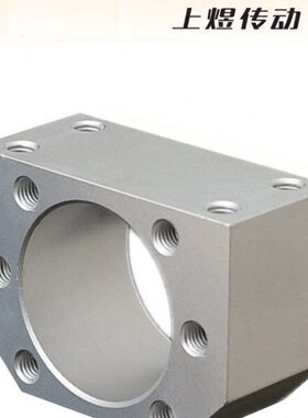 2005 螺母组10020100 2516 3255FU5 250固定座座滚珠丝杆螺母S