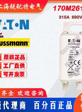 170M2619快速熔断器 690V 315A 巴斯曼BUSSMANN快速熔断器