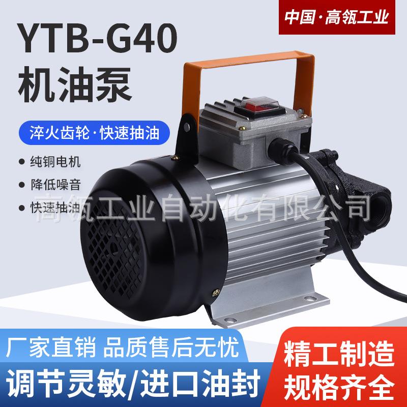 液压齿轮电动抽油泵12v24v220v自吸式不锈钢高粘稠度机油防爆380v