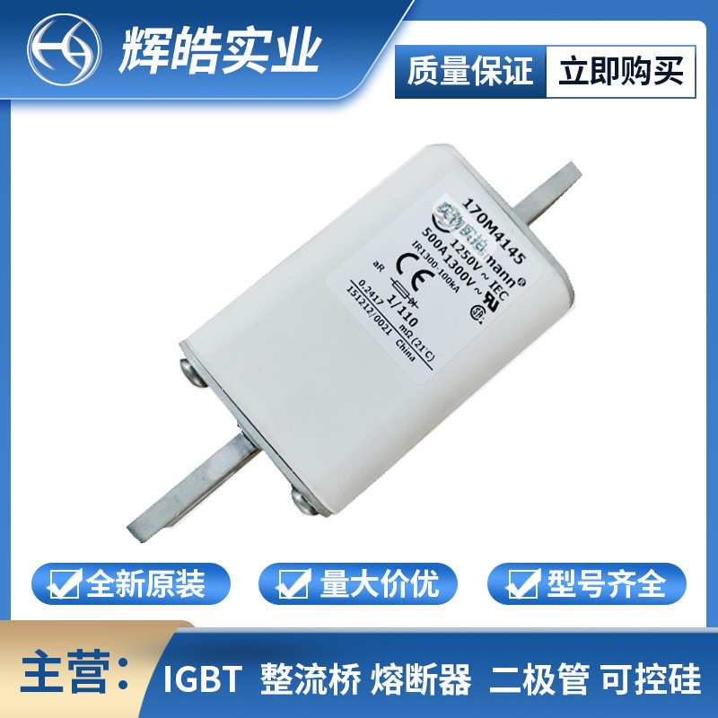 170M4011 170M4013 熔断器 熔断器配件 保险丝 电子元器件