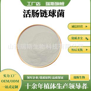 活肠链球菌 1000亿cfu g活菌 量大从优 乳杆菌