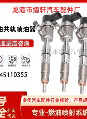 0445110355柴油共轨喷油器喷油嘴适用于一汽大柴