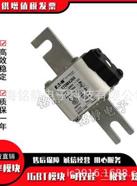 170M4063 170M4064 170M4065 170M4066巴斯曼熔断器170M4067
