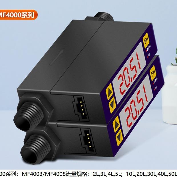 气体流量计MF4008-50-R-V-A空气质量流量计数显小气体流量侧漏仪