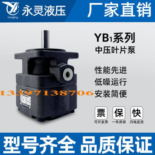 浙江YL永灵叶片泵 YB1-40 YB1-50 YB1-63 YB1-80 YB1-100 YB1-125