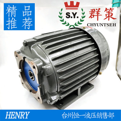 台湾群策SY液压油泵内轴电机C01/C02/C03/C05/C7B/C10S-43B0 1 2H