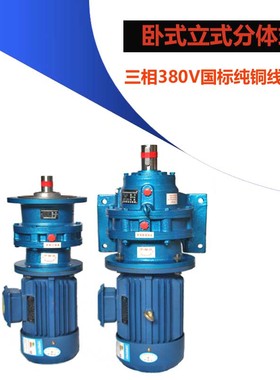 摆线针轮卧式BWD1立式减速机XWD2变速带M直连电动机配国标铜芯电