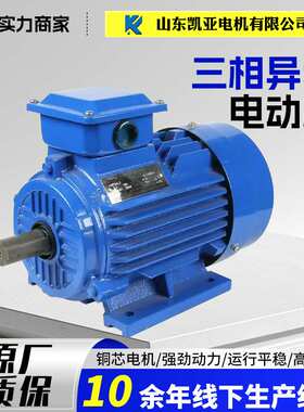 YE3三相异步电动机YE3-80M1-4 全铜0.75/1.1/1.5/2.2/3/4千瓦电机