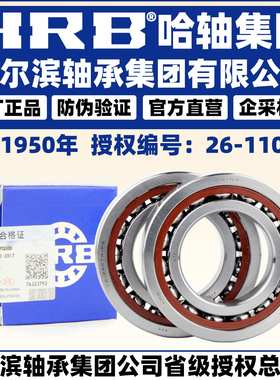HRB 哈尔滨轴承 7004 7005 7006 7007 ACTA CTA P4 DB DT DF 配对