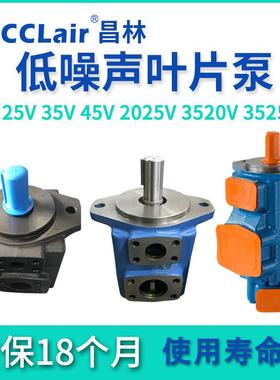 叶片泵20V8A10A14A17A19A25V21A25A30A35V45A3520V4520V3525V4525