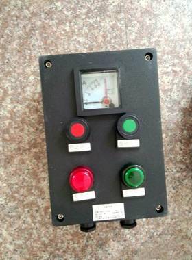 BZC8050 K1B1 A2D2防爆防腐操作柱LCZ8030 BEC56 BZC8060 FZC-S-