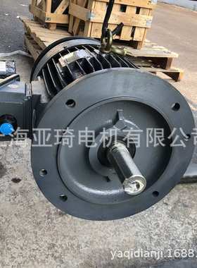 LIANGCHI冷却塔用AEVP-NV-132M-4-7.5KW-10HP立式防水电动机