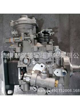 燃油泵504251949 0460424424和0460424496 504385873和0460424223