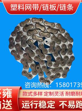 塑料链条 短节距滚子输送链条 节距15.875白色滚子链06cpc50直销