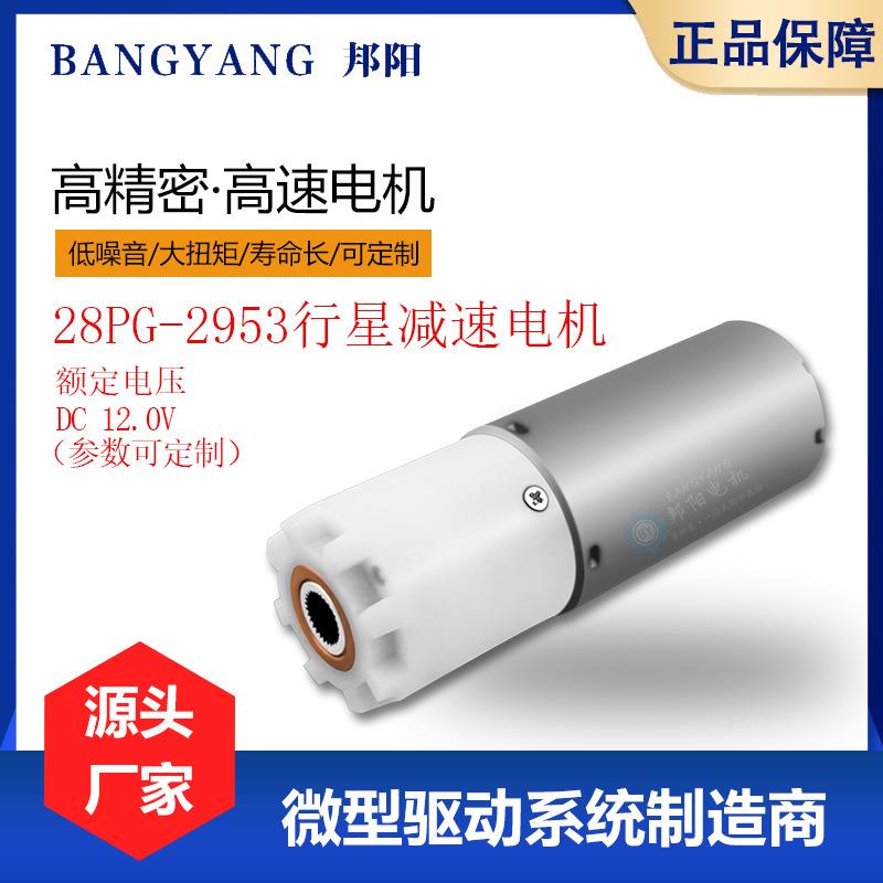 28PG-2953咖啡磨豆机马达胡椒粉榨汁机微型直流行星齿轮减速电机