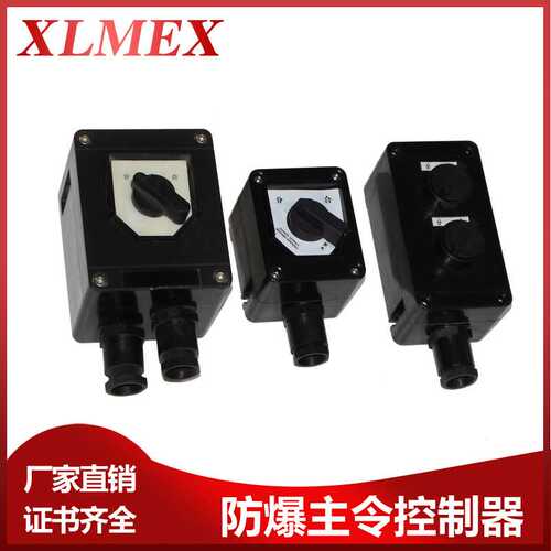 BKM8050防爆开关 防爆照明旋钮开关防爆主令控制器开关10A 220V