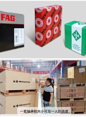 供应德国INA轴承 NATV568 101215 滚轮轴承 RAE15