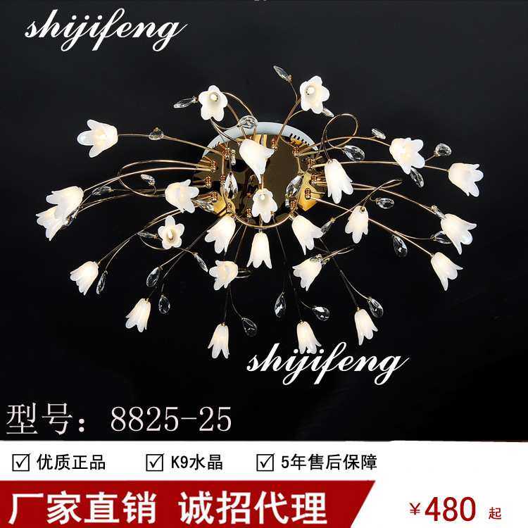 ceiling lamp北欧花型吸顶客厅灯简欧卧室温馨浪漫创意吊顶吸顶灯
