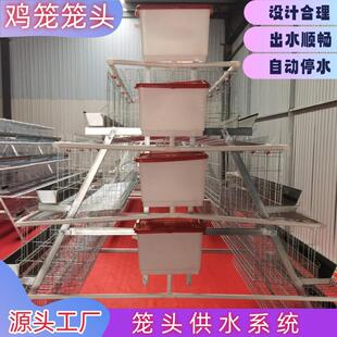 蛋鸡笼肉鸡笼笼头供水系统水箱支架阀门开关鸡笼配件三通弯头堵头