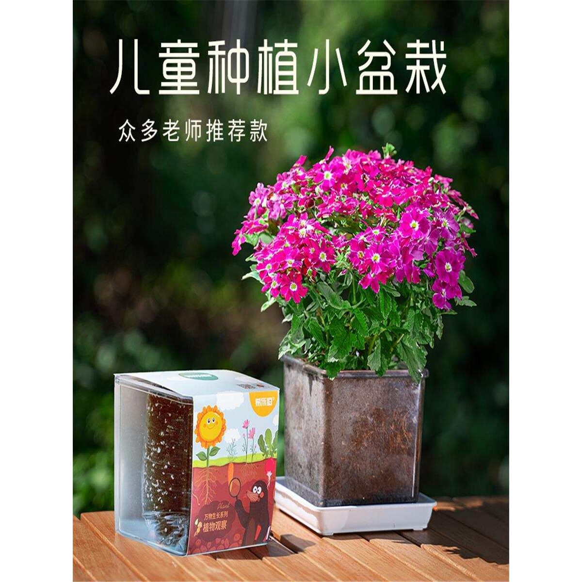儿童种植小盆栽室内绿植情绪稳定花盆办公室桌面网红罐头植物盲盒