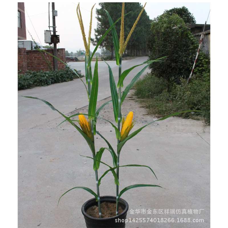 仿真玉米叶秋色玉米棒子假农作植物假树叶工程博物馆布景拍摄