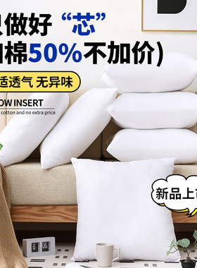 羽绒抱枕芯内胆45x45方形50*50抱枕枕芯靠垫芯酒店沙发Z靠垫芯定