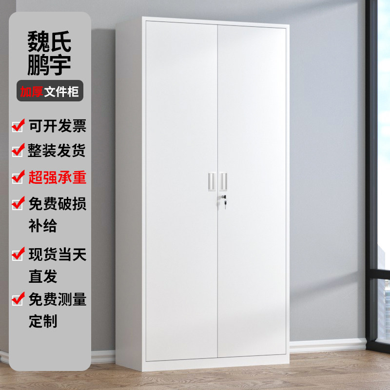 铁门对开钢制铁皮文件柜办公室资C料档案凭证储物书柜带锁工具柜