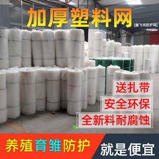 加厚塑料平网养殖围网养鸡养鸭鹅蜜蜂育雏漏粪网脚垫床网格胶网片