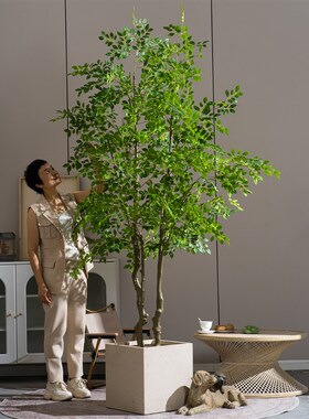仿真绿植大型g榆钱树室内高级氛围感热带仿生植物假树造景装饰摆