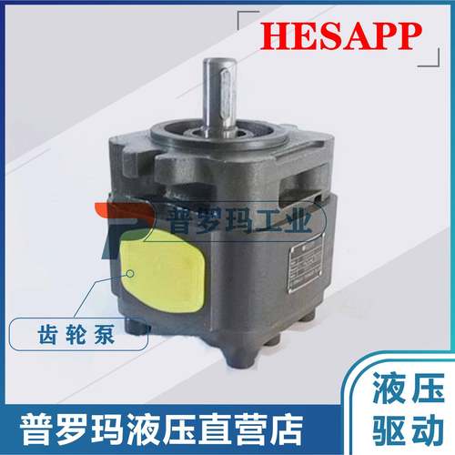 HESAPP高压齿轮泵内啮合齿轮泵BIG4040H-A01FR-1/4025/4032/4050