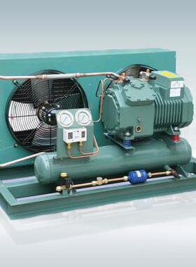 比泽尔半封闭螺杆CSH95113-320Y 压缩机 维修 配件冷冻库