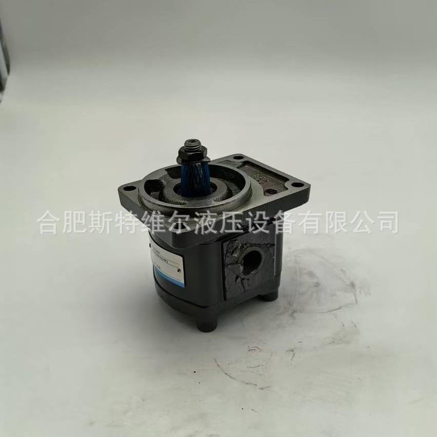 KP1 /8 G10A K0A 4NL2 克拉克高压齿轮泵