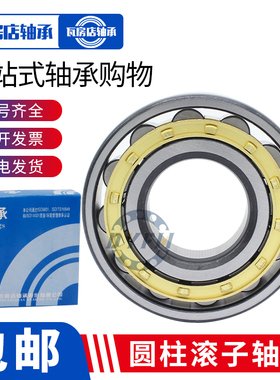 瓦房店满珠圆柱滚子轴承 NCF NCL 313 314 315 316 317 V
