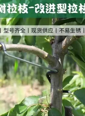 果树拉枝神器侧枝别枝拉枝定型通用主干枝条弯枝压枝定型器