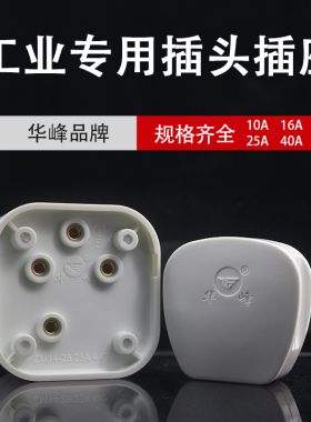 三相四线插座插头 扁插40A 16A 25A 10A 四眼爪华峰白色电机插座