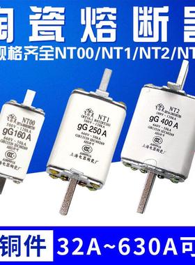RT16/NT00/NT1/NT2 63A100A160A250A400A600A陶瓷保险丝熔断器芯