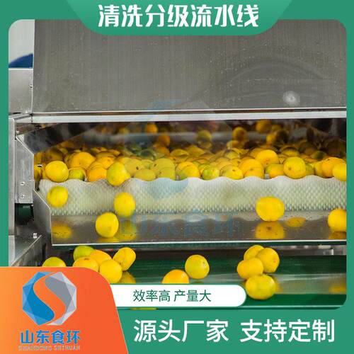 不锈钢水果分级机荔枝桃子李子红薯分级机全自动核桃检重机