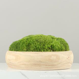 仿真花禅意盆景永生苔藓花艺绿植茶几新中式样板间盆栽洽谈桌摆件