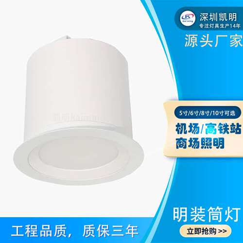 车站灯具地铁站80W明装筒灯 白色8寸免开孔80WLED筒灯