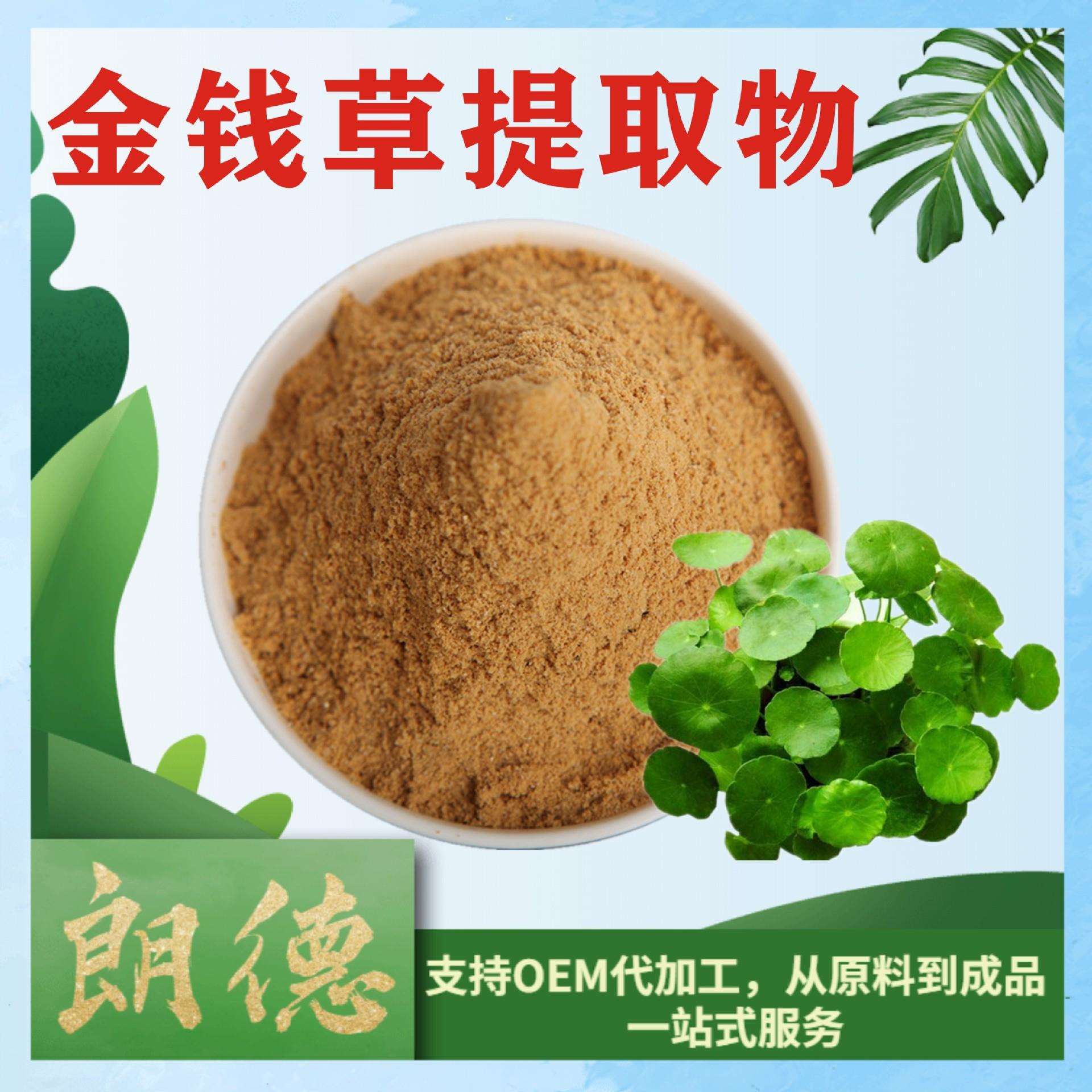 金钱草提取物 植物比例提取物金钱草多酚当天发货1kg