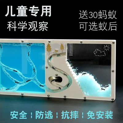 蚂蚁工坊学生款 幼儿园专用蚂蚁城堡 庄园家园王国学校老师都说好