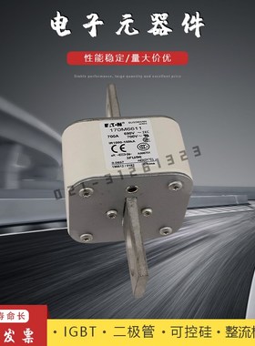 熔断器170M6616 6617 6618 6619 6620 6621 6629 6643 6644 6645